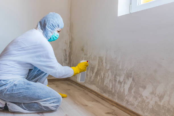 Licensed Commercial Mold Remediation service in Fayetteville, PA - WQB Mold Removal