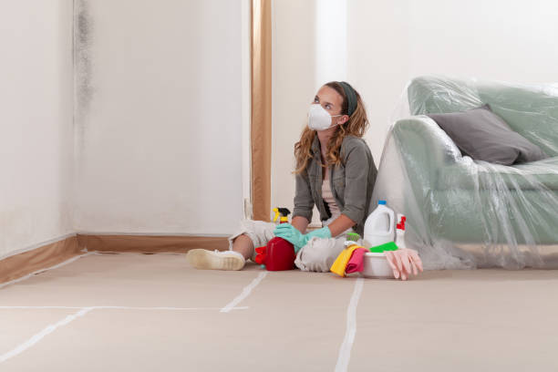 Reliable Commercial Mold Remediation contractor in Fayetteville, PA by WQB Mold Removal