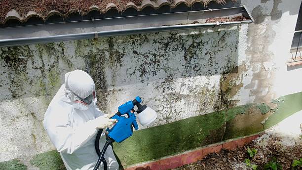Top rated local Commercial Mold Remediation specialists in Fayetteville, PA